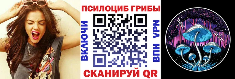 Галлюциногенные грибы MAGIC MUSHROOMS  Купить где  Канаш 